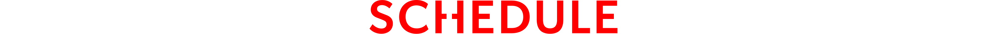 公演日程