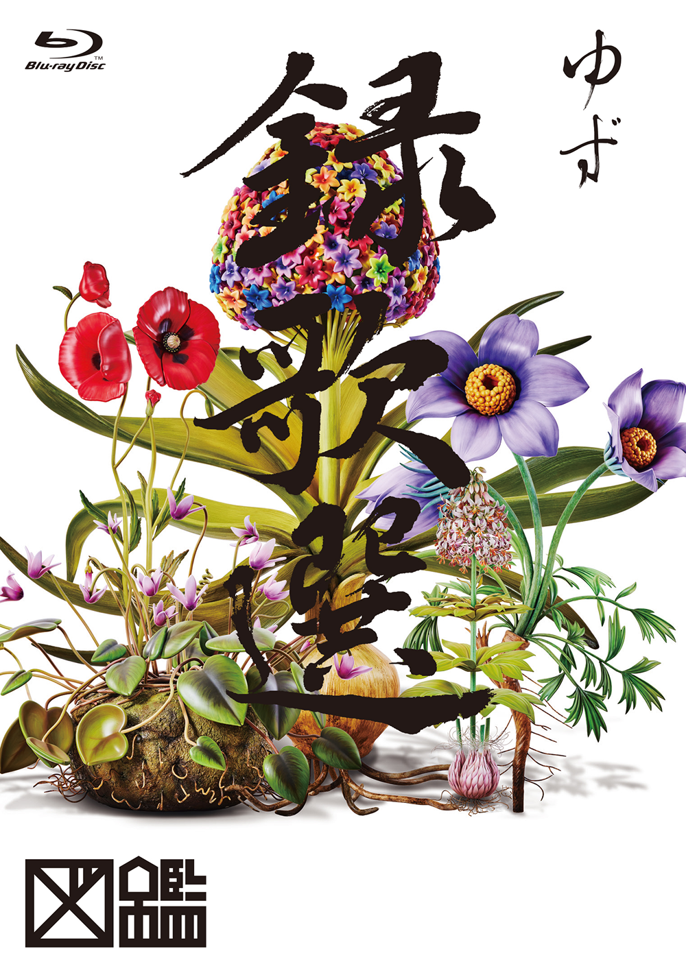 LIVE FILMS 図鑑 | ゆずオフィシャルサイト