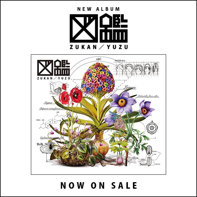 図鑑NOW ON SALE_SP