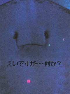 えい！