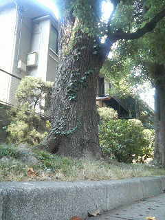 どこかに、