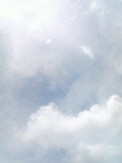 いや､しかし