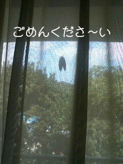 おや、