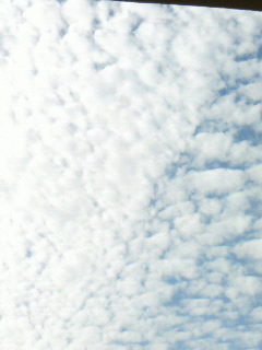 秋