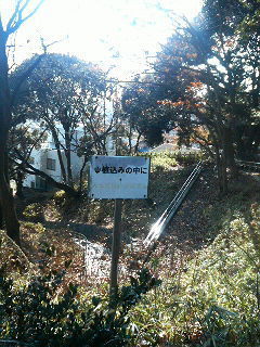 植え込みの