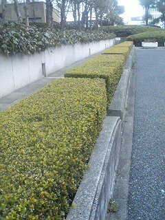 THE・
