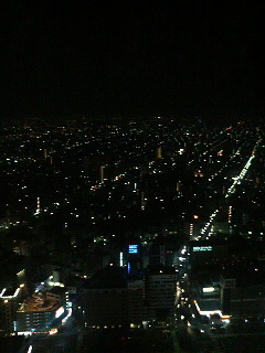 夜は
