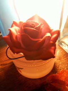 薔薇