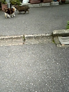あぁ、