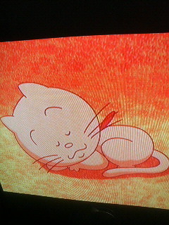 猫は