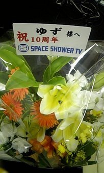 スペシャ