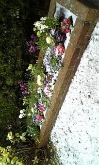 雪