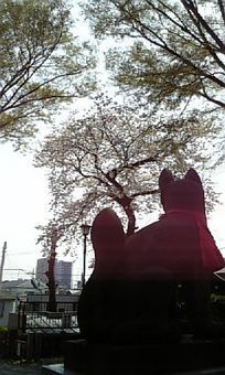 コン