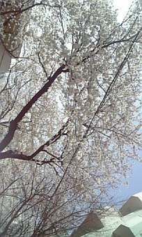 お～