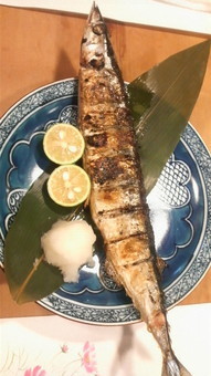 枠の
