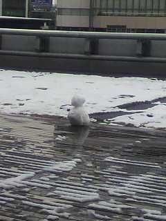ダルマ