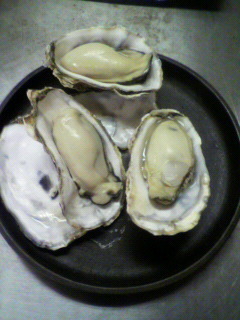 カキ食う