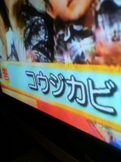 ついに