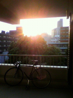 日が