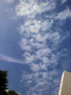 雲