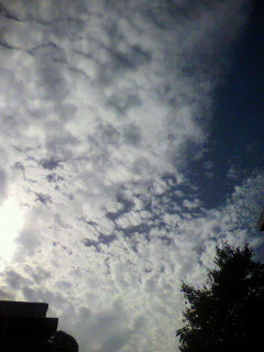 雲