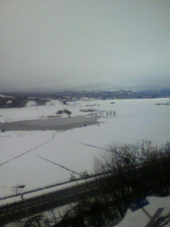白の