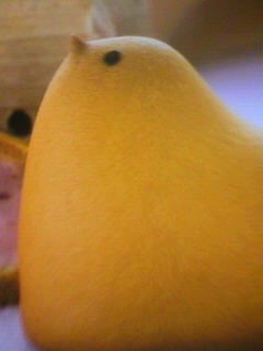 ピヨピヨ