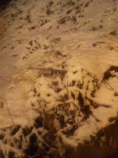 雪
