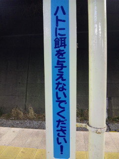 せつなる