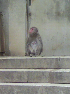 誰が