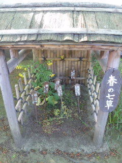 お粥に