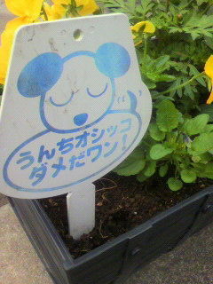 うん