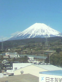 この山の