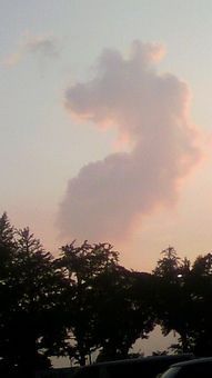 なんか