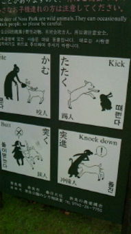 ノック