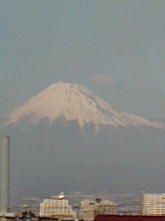 ふじ
