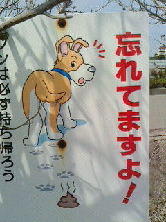 お前も