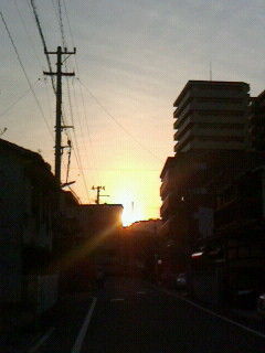 今日も