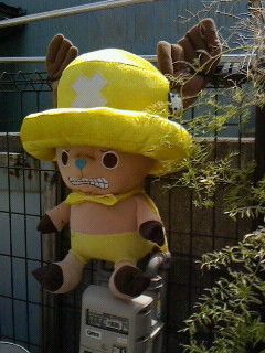 うぉ