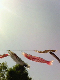 屋根より