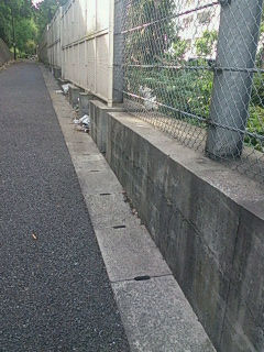 は、