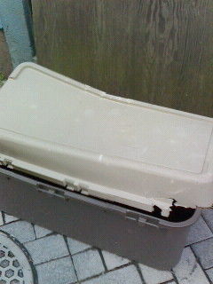 これじゃ