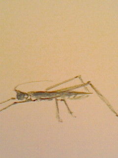秋が