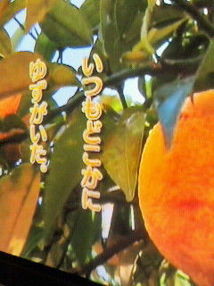 いつも