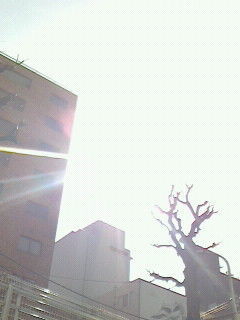 眩しい