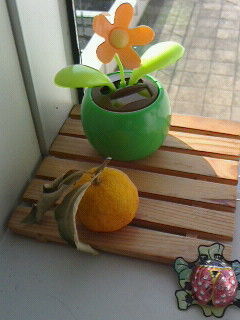 窓辺に
