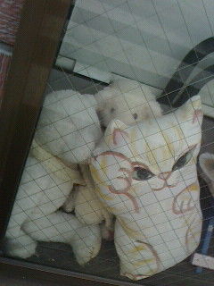 ねこ