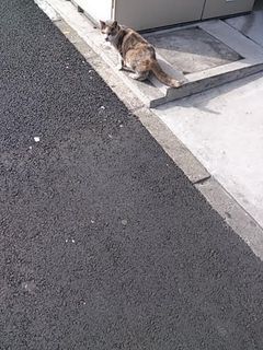 は、