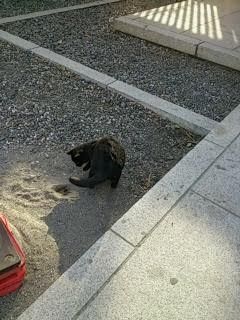 さては