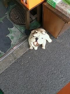 番犬